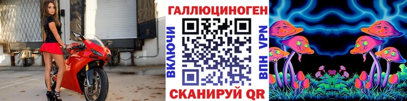 блэк спрут как зайти  Игарка  Псилоцибиновые грибы Magic Shrooms 